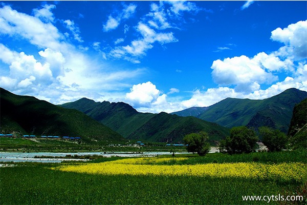 西藏跟團(tuán)線(xiàn)路