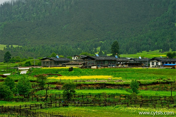 西藏旅游跟團游好