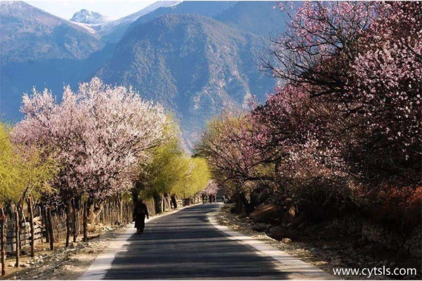 西藏旅游必去景點(diǎn)
