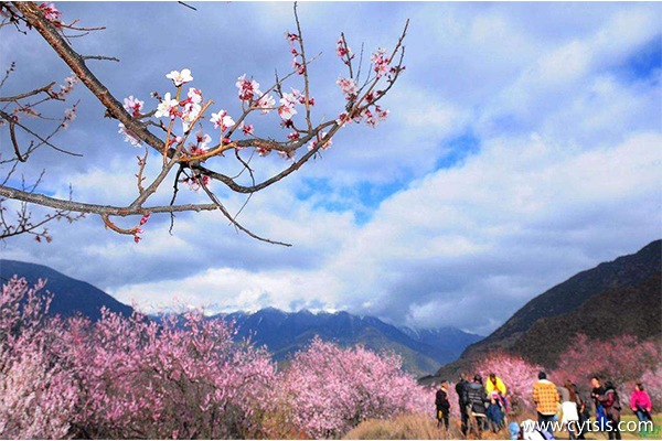 西藏旅游線(xiàn)路