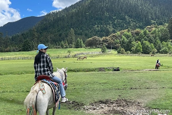 沈陽去西藏旅游團價格